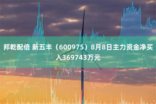 邦乾配倍 新五丰（600975）8月8日主力资金净买入369743万元