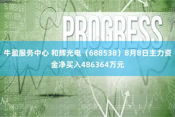 牛盈服务中心 和辉光电（688538）8月8日主力资金净买入486364万元