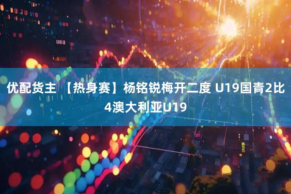 优配货主 【热身赛】杨铭锐梅开二度 U19国青2比4澳大利亚U19