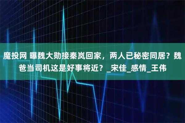 魔投网 曝魏大勋接秦岚回家，两人已秘密同居？魏爸当司机这是好事将近？_宋佳_感情_王伟